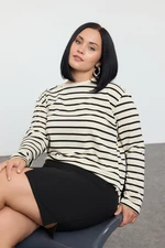 Trendyol Curve Beige Striped Regular/Normal Pattern Crew Neck Knitted Sweatshirt