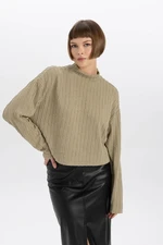 DEFACTO Relax Fit Half Turtleneck Basic Plain Sweatshirt