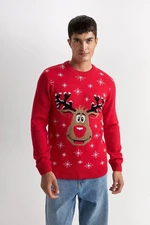 DEFACTO Red Standard Fit Crew Neck Christmas Themed Knit Sweater