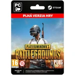 PlayerUnknown’s Battlegrounds [Steam] - PC