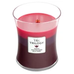 WoodWick Vonná svíčka váza Trilogy Sun-Ripened Berries 275 g