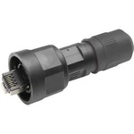 RJ45 konektor Telegärtner J80026A0011 - zástrčka, rovná RJ45 počet pólů: 8P8C, černá, 1 ks