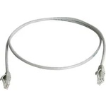 Síťový kabel RJ45 Telegärtner L00002A0219, CAT 6, U/UTP, 3.00 m, šedá