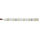 LED pásek Barthelme 51513415 51513415, 24 V, 12 W/m, N/A, 5 m