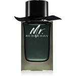 Burberry Mr. Burberry parfémovaná voda pro muže 150 ml