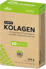 VITAR KOLAGÉN FORTE + extrakt z Boswellia serrata