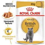 Royal Canin Pouch British Shorthair Gravy - 85g