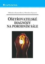 Ošetřovatelské diagnózy na porodním sále, Kameníková Miloslava