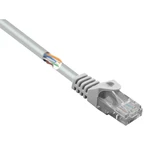 Basetech BT-2266971 RJ45 sieťové káble, prepojovacie káble CAT 5e U/UTP 2.00 m sivá s ochranou 1 ks