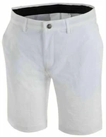 Galvin Green Paul Ventil8+ White 32 Shorts