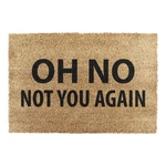 Wycieraczka z włókna kokosowego 40x60 cm Not You Again – Artsy Doormats