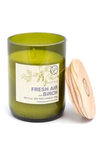 Paddywax Voňavá sójová sviečka Fresh Air & Birch 226 g