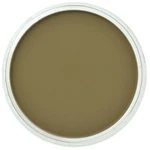 PanPastel 9ml – 270.1 Yellow Ochre Extra Dark