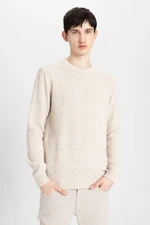 DEFACTO Men's Beige Standard Fit Regular Cut Crew Neck Textured Basic Knitwear Sweater