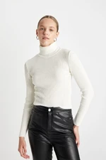 DEFACTO Slim Fit Turtleneck Knitwear Sweater