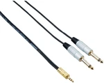 Bespeco RCX300 3 m Audiokabel