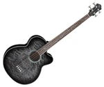 Michael Kelly Dragonfly 4 Smoke Burst Akustik Bass