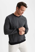 DEFACTO Regular Fit Crew Neck Sweatshirt