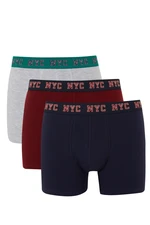 DEFACTO Regular Fit 3-Pack Boxer