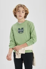 DEFACTO Boy Printed Crew Neck Thick Sweatshirt