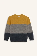 DEFACTO Boy Regular Fit Crew Neck Color Block Knitwear Sweater