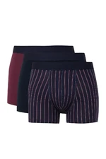 DEFACTO Men's Striped 3-Pack Boxer