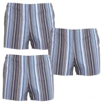 3PACK classic men's briefs Foltýn multicolored oversized