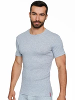 T-shirt Henderson 1495 BT-100 M-3XL grey j27