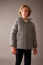 DEFACTO Boy's Water Repellent Hooded Plush Lining Coat