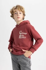 DEFACTO Boy's Hooded Printed Sweatshirt