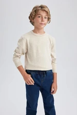 DEFACTO Boy's Crew Neck Knitwear Sweater