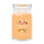 Yankee Candle Aromatická svíčka Signature sklo velké Mango Ice Cream 567 g