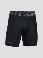 Pánske kraťasy Under Armour