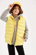 DEFACTO Boy Water Repellent Stand Collar Inflatable Vest