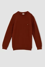 DEFACTO Boy Regular Fit Crew Neck Pullover