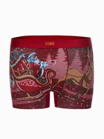 Edoti Men's underpants