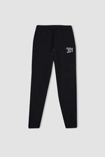 DEFACTO Standard Fit With Pockets Thick Sweatshirt Fabric Pants