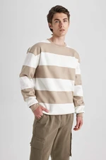 DEFACTO Boxy Fit Long Sleeve Sweatshirt