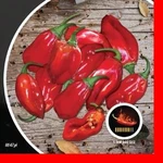 Paprika chilli Naga Morich PIQUANT