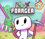 Forager Steam CD Key