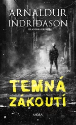 Temná zákoutí - Arnaldur Indridason - e-kniha