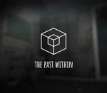 The Past Within Steam Account