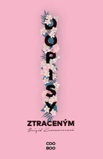 Dopisy ztraceným - Brigid Kemmererová