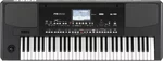 Korg PA300 Tastiera Professionale