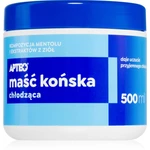 Apteo Konská masť s chladiacim účinkom gél s chladivým účinkom 500 ml