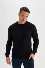 DEFACTO Men's Navy Blue Standard Fit Regular Cut Crew Neck Textured Knitwear Sweater