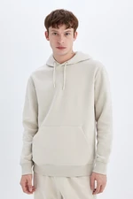 DEFACTO Regular Fit Hooded Basic Sweatshirt