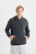 DEFACTO Comfort Fit Hooded Basic Sweatshirt