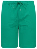 Trendyol Men's Green Regular Fit Paneled Shorts