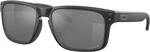 Oakley Holbrook 92290437 Black/Prizm Black Polar Cyklistické okuliare